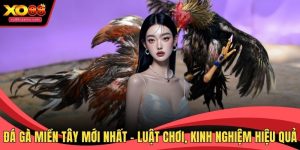 Đá gà miền Tây mới nhất