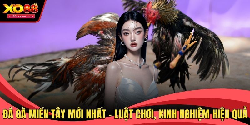 Đá gà miền Tây mới nhất
