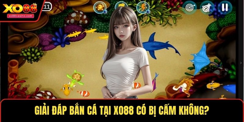 Giải đáp bắn cá tại XO88 có bị cấm không?