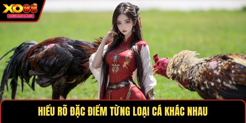 Hiểu rõ đặc điểm từng loại cá khác nhau