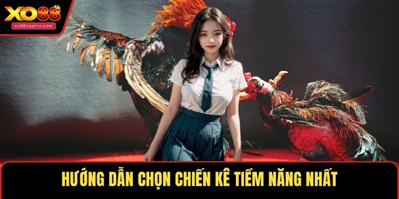 Hướng dẫn chọn chiến kê tiềm năng nhất