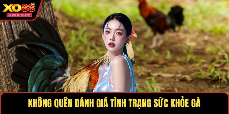 Không quên đánh giá tình trạng sức khỏe gà