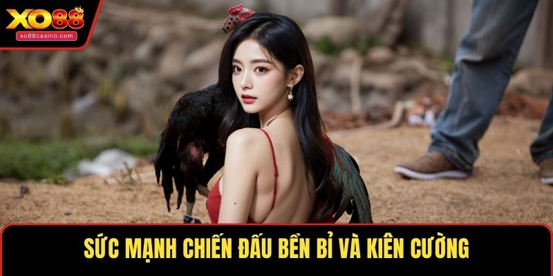 Sức mạnh chiến đấu bền bỉ và kiên cường